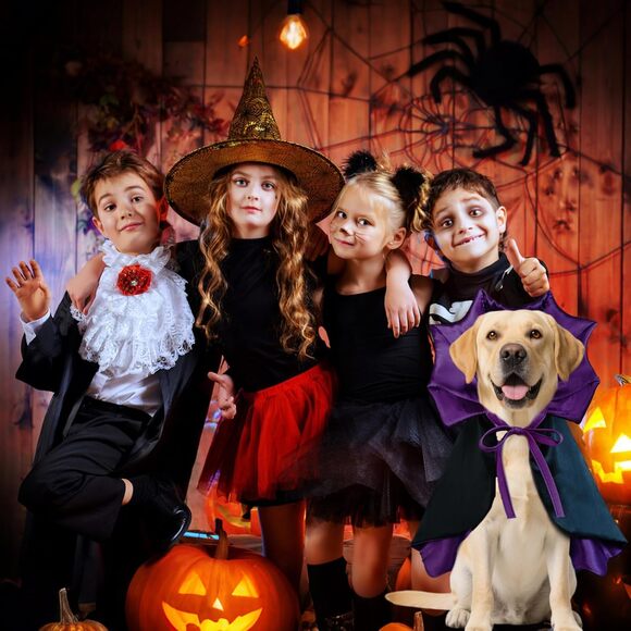 Large Dog Halloween Costume Vampire Cloak Devil Cape for Big Dog Breeds - Picture 7 of 7